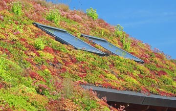 Low Bradfield living roof systems